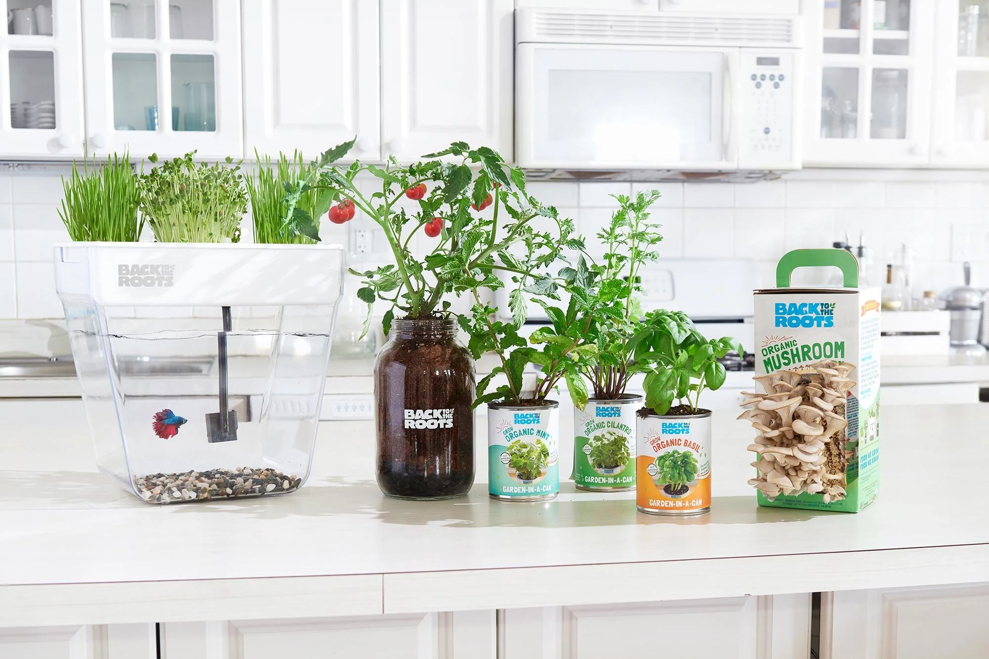 Back to the Roots — Loft Growth Partners